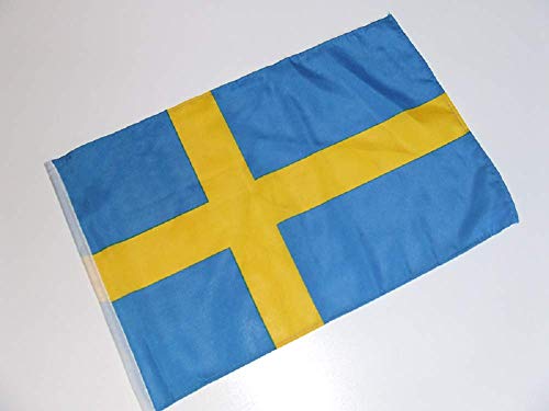 generisch Schweden Fahne/Flagge 30x45 cm mit Hohlsaum