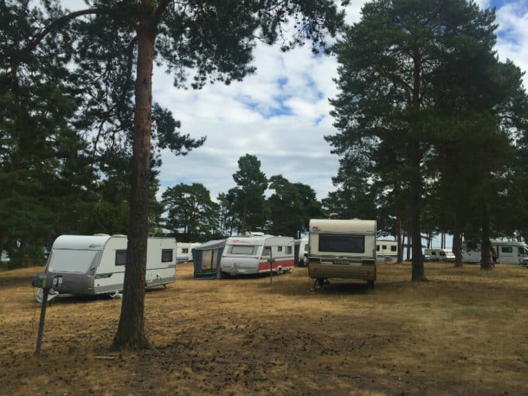 First Camp Oknoe Monsteras 2