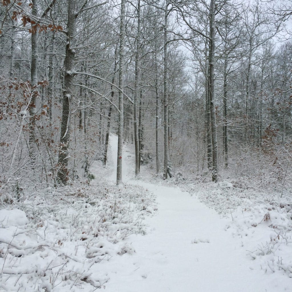 Schweden Winterspaziergang